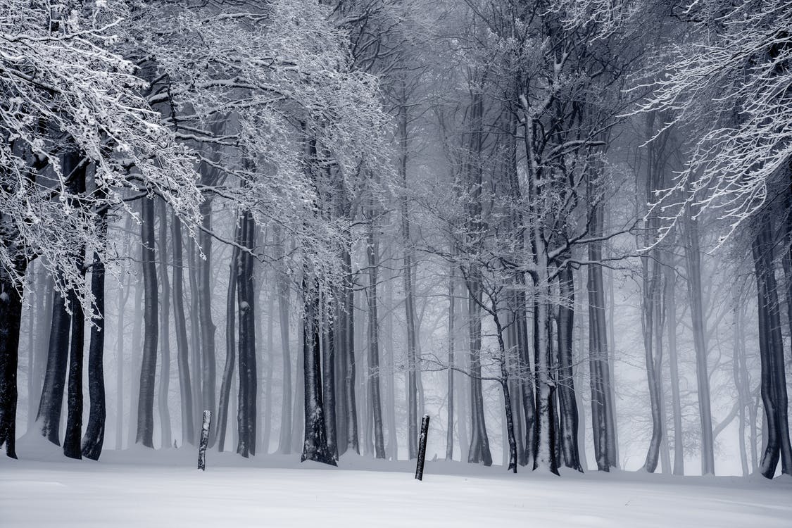 Is winter the hardest time of the year for Facilities Management? thumbnail image